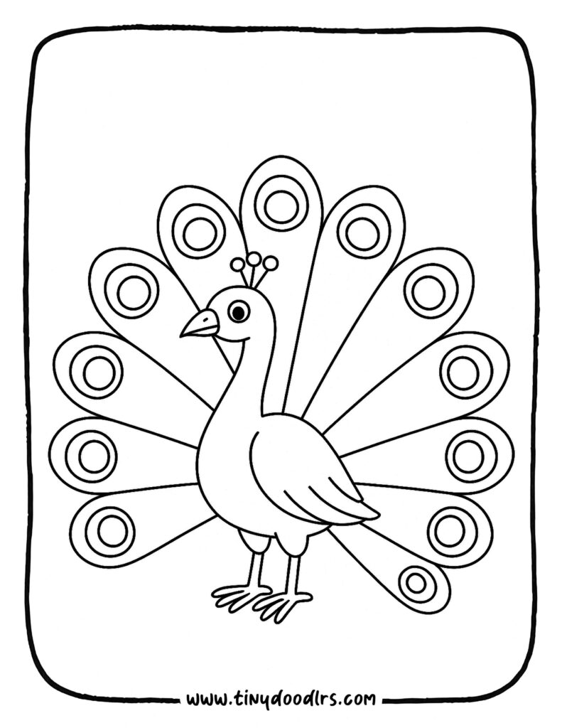 Easy India national bird drawing